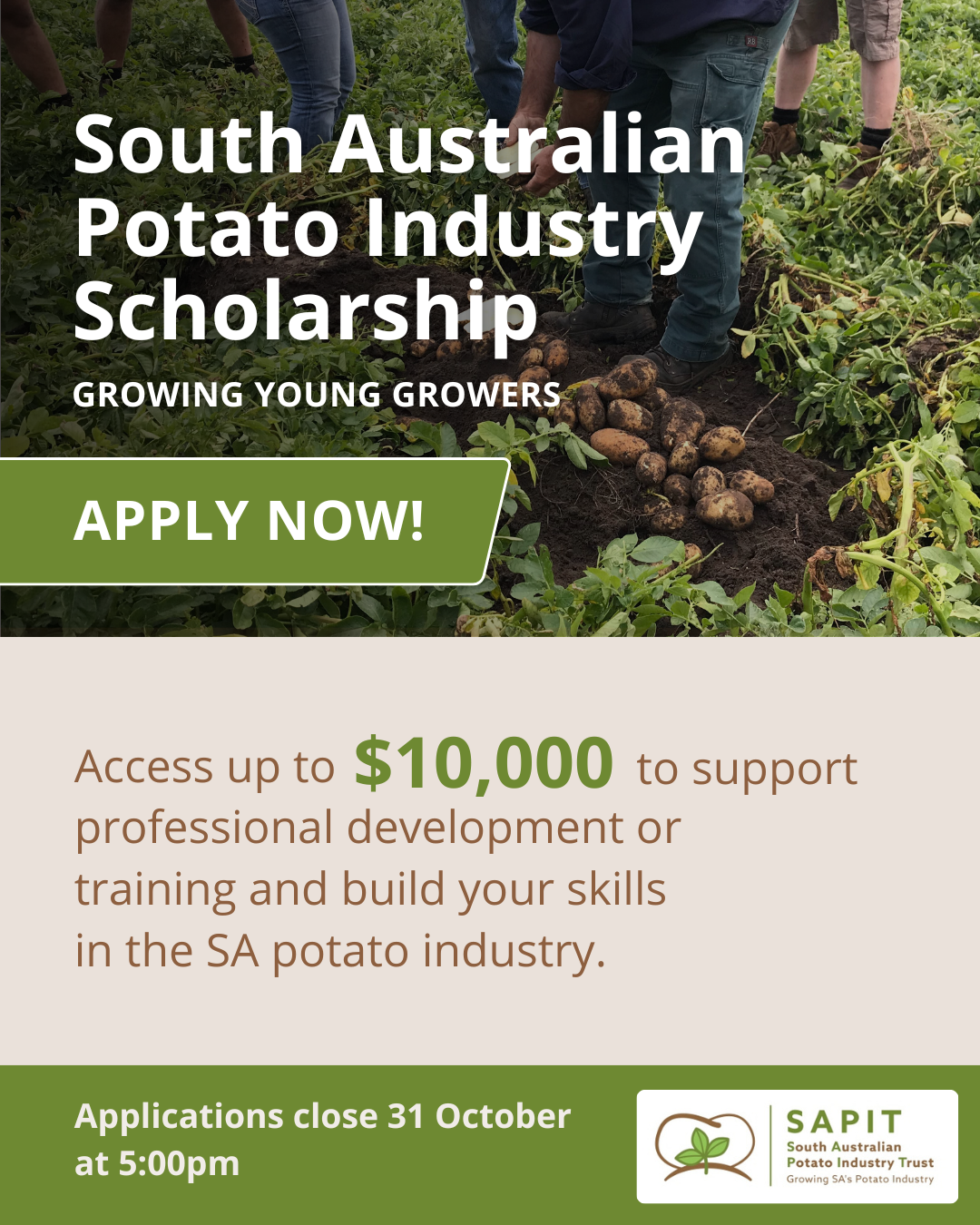 SAPIT Scholarship Tile 2025 SAPIT Scholarship Tile 2025